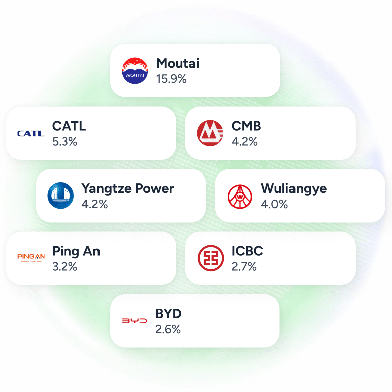 Visual representation of the CHINA50 overview