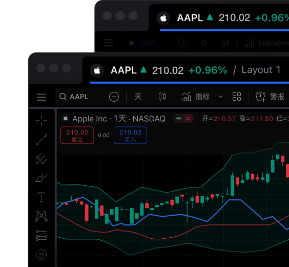 The TradingView desktop application running on a computer, showcasing its powerful interface for professional traders.
